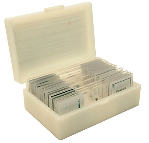 VSB122 Prepared Slide Set – Animal (Set of 12)