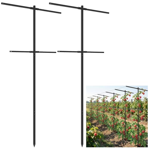 2 Pack Metal Detachable Raspberry & Grape Vine Trellis for Climbing Plants, Heavy-Duty 7 Ft Tall Large Vineyard Trellis Support, Sturdy Garden Stakes for Outdoor Raised Beds Vegetables Fruits Flowers