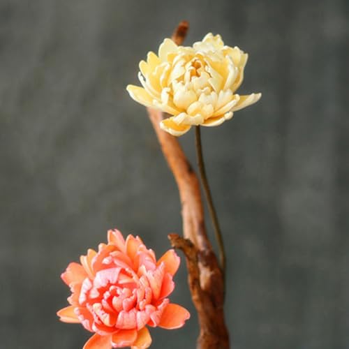 Ramo de Flores Secas 2 Piezas Rosas Preservadas Rosa y Beige miniatura 7