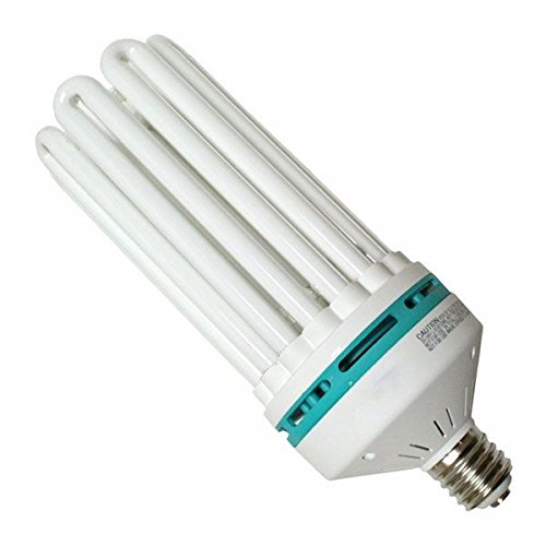 Lampe compacte fluorescente CFL 200 W Blanc 6400 & # 176 ; K – Croissance