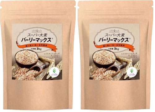 LOHAStyle(���n�X�^�C��) �X�[�p�[�唞 �o�[���[�}�b�N�X (3kg) �H���@�� �唞 ���� ������ ���W�X�^���g�X�^�[�` [��������2�{�̑��H���@�ۗ�] (× 2)