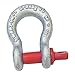 Anchor Shackle, Carbon Steel, 19, 000 lb.