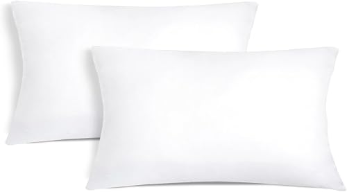 Aitsse - Relleno de Cojín de Fibra Hueca Siliconada Suave (2, 50x70cm) | Alta Recuperación 2/4/6 Unidades, Suave, Mullido, Antialérgico. Cojín Decorativo para Casa, Dormitorio, Salón o Coche.