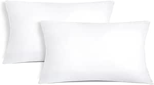 Aitsse- Relleno de Cojín de Fibra Hueca Siliconada de Alta Recuperación 2/4/6 Unidades, Suave, Mullido, Antialérgico. Cojín Decorativo para Casa, Dormitorio, Salón o Coche. (2, 30x50cm)