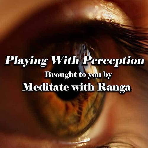 Is Meditation Playing With Perception? | Playing with Perception