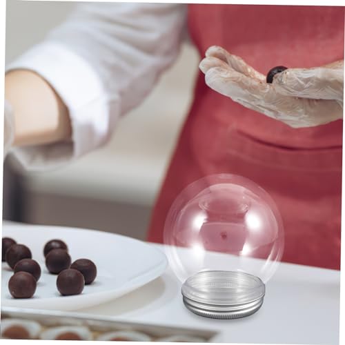 Ciieeo 10 Peças Lâmpada Cúpula Globo De Água Preenchível Flor Preservada Globos De Neve Vazios Globo