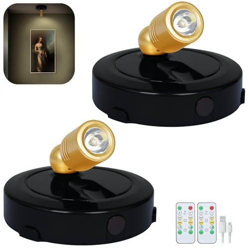 LED Spotlight Indoor
