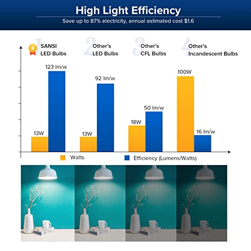Sansi 100W Equivalent A19 Led Light Bulb, 6 Pack 22-Year Lifetime, 1600 Lumens Light Bulb With Ceramic Technology, 5000K Daylight Non-Dimmable, Efficient, Safe, 13W Energy Saving For Home Lighting #TOP4
