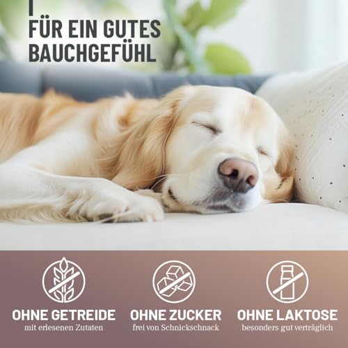 ReaVET Magenpulver für Hunde 300g mit Ulmenrinde ohne Aufkochen I sekundierend bei Durchfall, Blähungen, Grasfressen I Verdauungsunterstützung – Futtertopping Magen & Darm Pulver Slippery Elm Bark