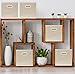 Simple Houseware Foldable Cube Storage Bins with Handles, 11-Inch, Beige, 6-Pack, Fabric Cubes Organizer for Closet or Shelves
