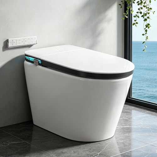 Small Smart Toilet with Bidet Built-in