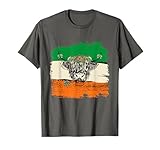 Irish HIghland Cow - St. Patrick's Day 2025