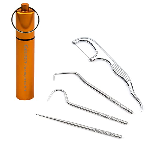 Toothpicks Pocket 4Pcs, Latest Dental Floss Picks Reusable, Stainless Steel Toothpick, Tooth Picker Oral Cleaning Hygiene Travel Keychain Case