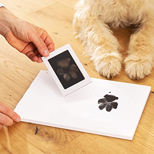 Navaris Urne für Hund oder Katze - Tierurne inkl. Platz für 2 Fotos und Pfotenabdruck - Hundeurne Katzenurne - Tierurnen für Hunde - Hunde Box in Schwarz
