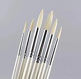 XDT 767 Round Tip Artist Paint Art Brush 6pc Set Hog Oil Acrylic Watercolor #1 #3 #5 #7 #9 #11