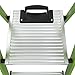 Little Giant Ladders, MightyLite, 6' Stepladder, Fiberglass, Type IA, 300 lbs Weight Rating, (15366-001)