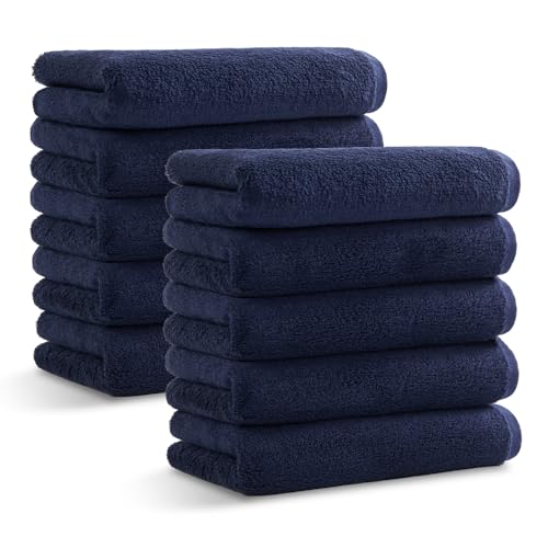 ACXvU tFCX^I 10Zbg {[z CfBSu[ 100% yʑ ^I  ӂӂ z ϋv