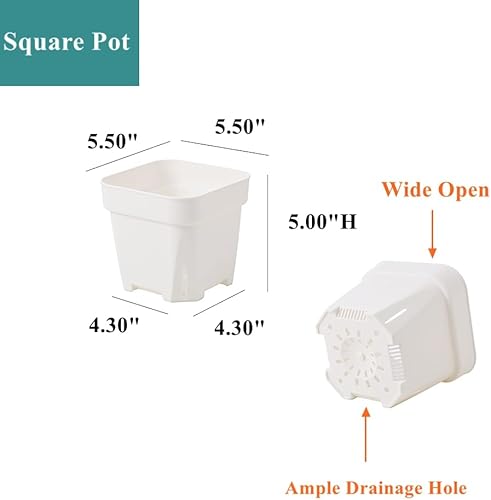 Miniatura 2 de BangQiao Paquete de 20 macetas de plástico blanco de 5.50 pulgadas para vivero y plántulas, contenedor cuadrado para plantas de iniciación para