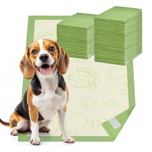 Dog Pee Pads with Adhesive Strips 50Count, 19"X30" Extra Large Disposable Pee Pads for Dogs, Non-Slip Puppy Training Pads for Crate/Cage/Carrier 19" x 30" (50 Ct)