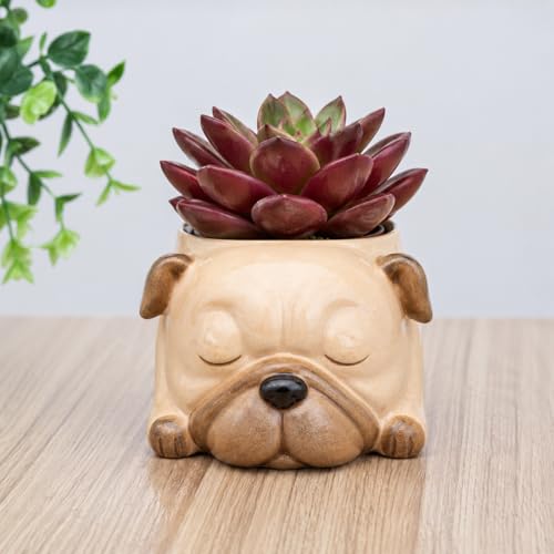 Image of Cute Sleeping Puppy Succulent Planter Pot | Dog Resin Flower Pot, Small Indoor Plant Holder for Succulents, Cactus & Herbs, Decorative Animal Planter