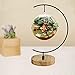 YY YEARCHY Awesomes Ornament Display Stand Indoor Metal Air Plant Flower Pot Holder for Hanging Glass Globe Ball
