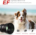 EF 85mm f1.8 Portrait Lens - MF for Canon EOS Rebel T8i/T7i/T7/T6i/T5/T3i/T3/T2i/XSi/XS/SL3/SL2/T100/90D/80D/70D/50D/5D Mark IV/6D II/7D II/1D X III II - Manual Focus DSLR Cameras Lens(EF/EF-S Mount)