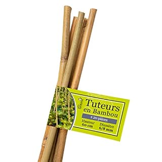 La cordeline tuteurs bambou 60 cm, lot de 20 fins