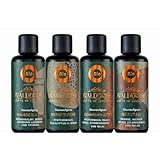 Waldbrise Saunaaufguss 4er Set - Saunaduft mit ätherischen Ölen, wohltuend, aus kontrolliert biologischem Anbau, rückstandsfrei, Konzentrat, für Kräuterbäder, Aromaschalen, Dampfbäder - 4x 100 ml