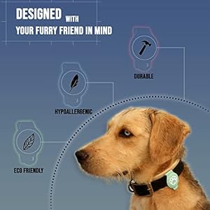 Case-for-Apple-AirTag-Pet-Tracker-Pet-Anti-Lost-Finder-Dog-Cat-Collar-Accessories-Backpacks-Cameras-Purses-Bicycles-Suitcases-Travel-Accessories-Green-224x146x06-inch - Cucciolini Doodles Case-for-Apple-AirTag-Pet-Tracker-Pet-Anti-Lost-Finder-Dog-Cat-Collar-Accessories-Backpacks-Cameras-Purses-Bicycles-Suitcases-Travel-Accessories-Green-224x146x06-inch