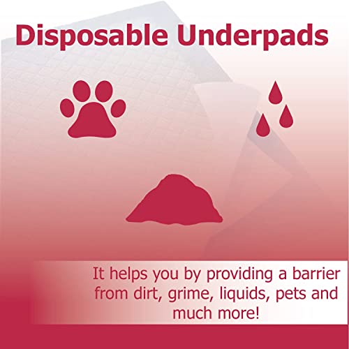Dealmed Economy Absorbency Medical Underpads, 100 Count Disposable 2-Ply Tissue Fill, 17" X 24”, Blue, Perfect As Pet Pads, Medical Table Barrier, Furniture Protection, 100 Count (1 Pack) #TOP4