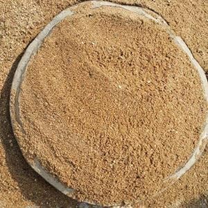 THE GUPTAS Natural and Organic River Sand Multi Purpose 1kg from Kaveri Pure for Lawn,Garden, Plants & Aquarium River Sand Pure1kg (B0D6SYXDPQ) Amazon Price History, Amazon Price Tracker
