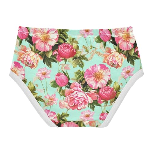 Joisal Vintage Pink Flowers Green Girls Underwear Toddlers 2t Cotton Panties for Girl Funny Briefs Kids Undies2