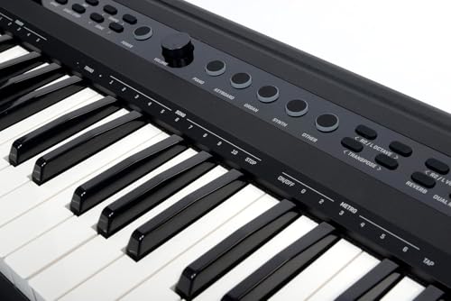 Woodbrass XPL1 Tragbares Digitalpiano mit 88 Tönen, leicht, kompakt und vielseitig, 25 hochwertige Sounds und Stereo-Verstärkung, Keyboard zum Lernen, Perfektionieren oder Spielen auf der Bühne