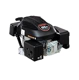 Jardiaffaires - Motor para cortacésped Loncin lc1p70fa Cigüeñal (22 x 80 mm)