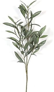 23in. Outdoor Rated Olive Branch