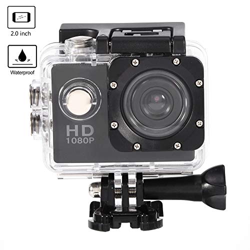 Sport Definition The Best Amazon Price In Savemoney Es