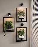 Bamworld Plant Stand with Lights Wall Planters for Indoor Plants Hanging Planter for Indoor Plants Plant Stand Indoor Wall Decor 3 Pack for Living Room Outdoor EntrywayοΌ3 spotlightsοΌ