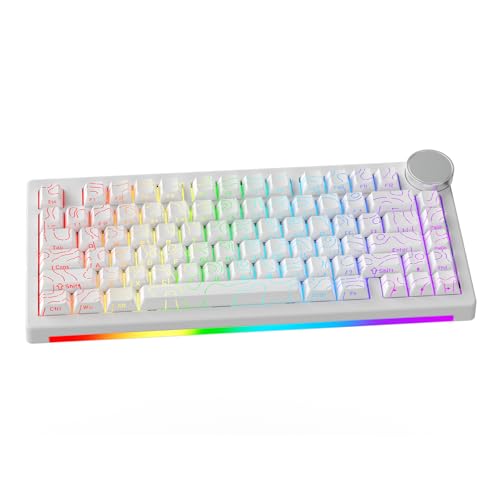 AK820 V2 8KHz Magnetic Mechanical Keyboard Bingyu Hall Effect Rapid Trigger
