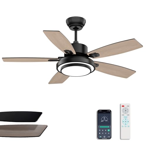 Fanbliss Ceiling Fans with Lights and Remote Control for Bedroom, 42 Inch Black Small Modern Ceiling Fan with Quiet Reversible DC Motor, 3CCT, Dimmable, LED for Living Room, Patio, Indoor and Outdoor