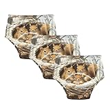 Toddler Potty Training Underwear Squirrel Family Animal Cotton Absorbent Toilet Training Pants for Boys Girls 2T-5T