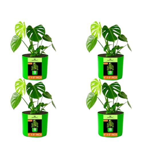 Image of Kingwell Grow Bags 6x6 inches -Pack of 4 Bags for Plants Gardening Home, Grow Bags for Terrace Gardening