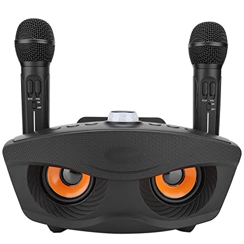 BT Karaoke Speaker, Home KTV Karaoke BT Speaker with Two Microphone Wolking 2-3 Hours Support AUX Memory Card and USB Flash Drive(Black)