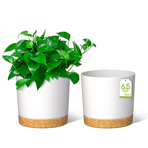 ZMTECH Plant Pots, 6.5” Self Watering Plastic Planter with Drainage Hole and Saucer, Modern Decorative Flower Pot for Indoor Outdoor House Plants, Succulents, Flowers – White, 2 Pack