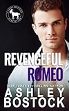 Revengeful Romeo: A Hero Club Novel