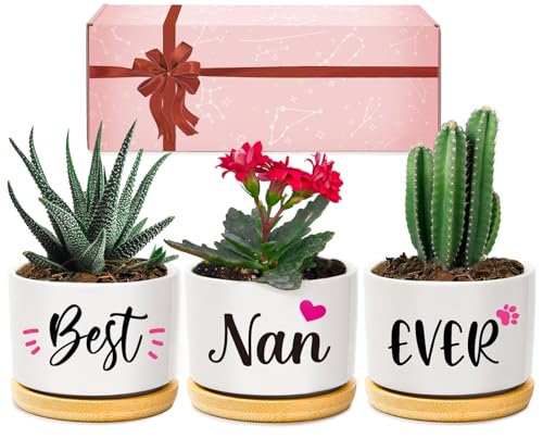 Giftasy Nan Gifts from Grandchildren, Nan Birthday Gifts, Best Nan Ever Succulent Pots Gifts for Nan, Unique Garden Gift Ideas for Nan on Mothers Day Birthday Christmas, STA06TXX0371