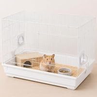 Amazon | ハムスター ケージ 大型 幅57.5cm 金網タイプ 小動物ケージ