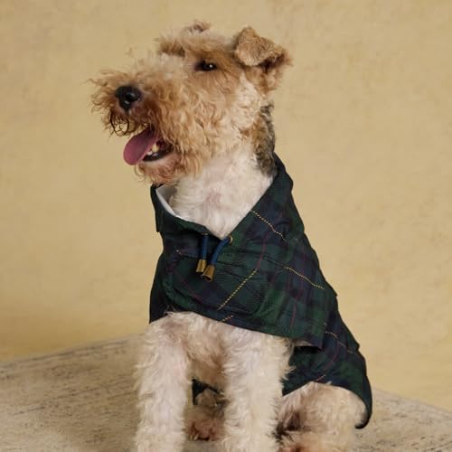 Rosewood x Joules Blackwatch Check Packaway Dog Jacket, Large – Lightweight Water-Resistant Coat with Hood, Adjustable Velcro Fastenings, Portable for Travel & Walks