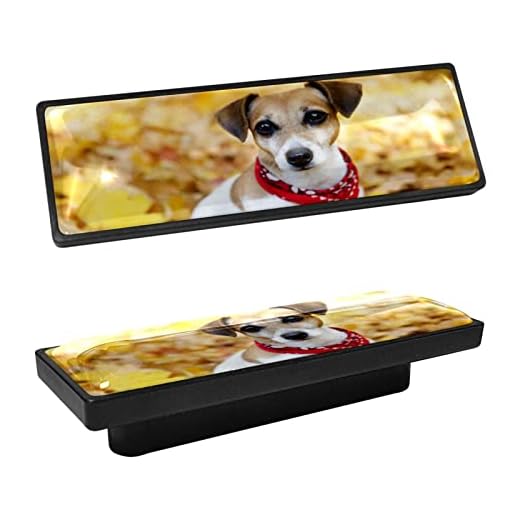 4-pack knoppar för byrålådor 8,6 cm skåp draglåda handtag dekorativ hårdvara för köksskåp garderob garderob, Russel Jack terrier valp hund