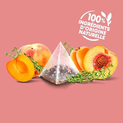 Infusion Mangue Passion Curcuma Elephant La Boite De 20 Sachets - vue 3