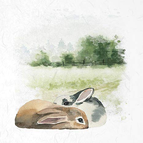 Carta Di Riso Per Decoupage E Craft - 40 Fogli 14,8x14,8 Cm - Ideale Per Creatività E Fai-da-te - Foto 13